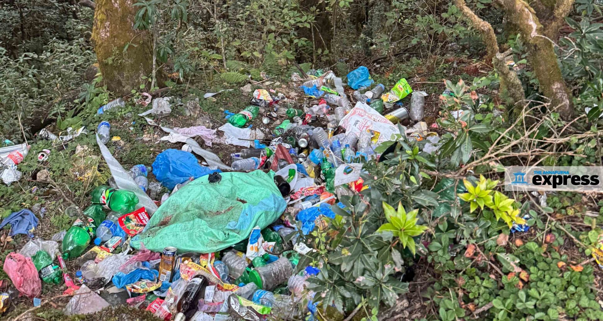 Legal experts unite to address plastic pollution on World Environment Day