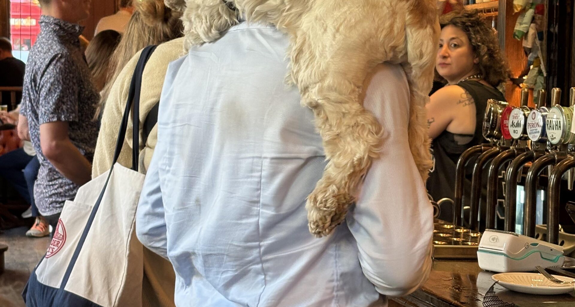 Bloke ordering a pint last night