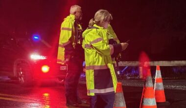 Two critically injured after car crashes into house in Kumeū