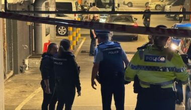 Two critical after alleged stabbing at Auckland night market