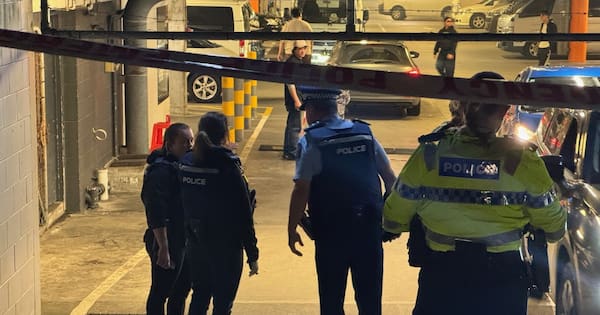 Two critical after alleged stabbing at Auckland night market