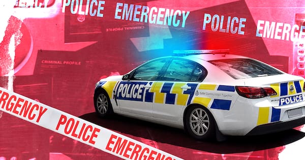 Pedestrian critically injured in Rotorua motorbike hit-and-run