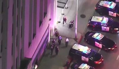 LAPD has made nearly 400 arrests and detentions since Saturday