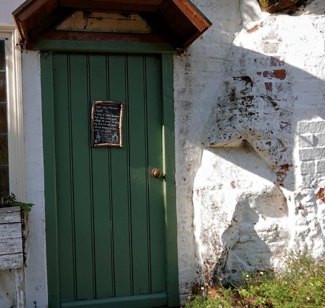 [NT] Kinver Edge. Rock Houses. On Kinver Edge there are several rock houses that have been carved out of the soft red sandstone. The Holy Austin rock houses were inhabited until the 1960s. The most famous are the homes at Holy Austin Rock, now restored and open to visitors.