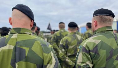 Latvia's NATO multinational brigade gets new commander / Article