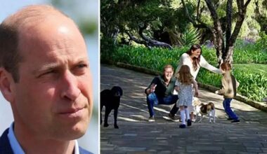 Prince William Doesn't Want Harry's Kids Joining The Future Monarchy
