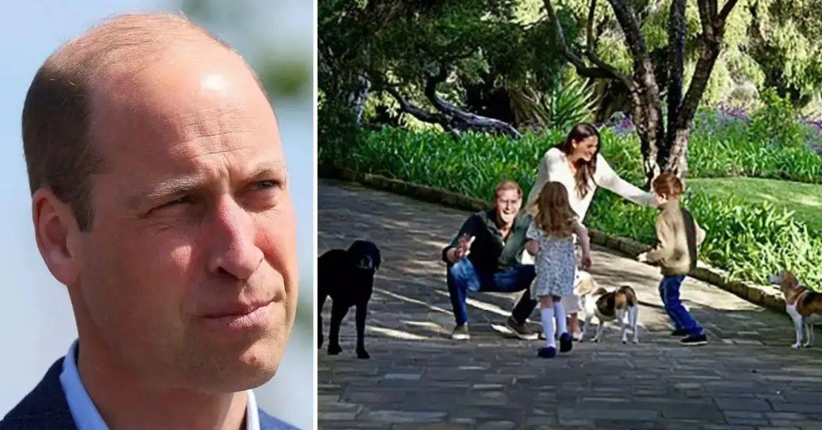 Prince William Doesn't Want Harry's Kids Joining The Future Monarchy