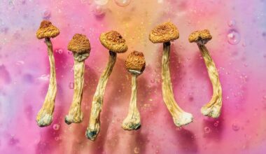 Czechia poised to legalize magic mushrooms for mental health treatment