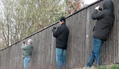 Feuerwehrverband plädiert für Entzug des Führerscheins von Gaffern