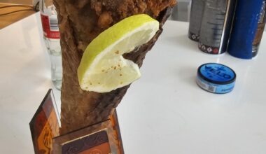 Österreichisches Eis - Schnitzl im stanitzl
