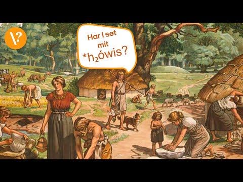 Sådan lød dansk for 6.000 år siden