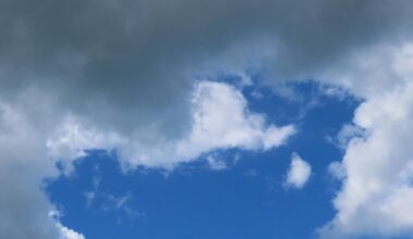 Warmish but wettish week ahead in Latvia / Article