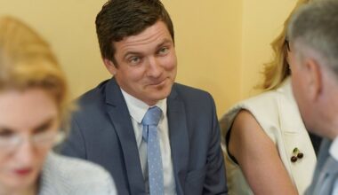 Zviedris wins backing to become new election chief / Article