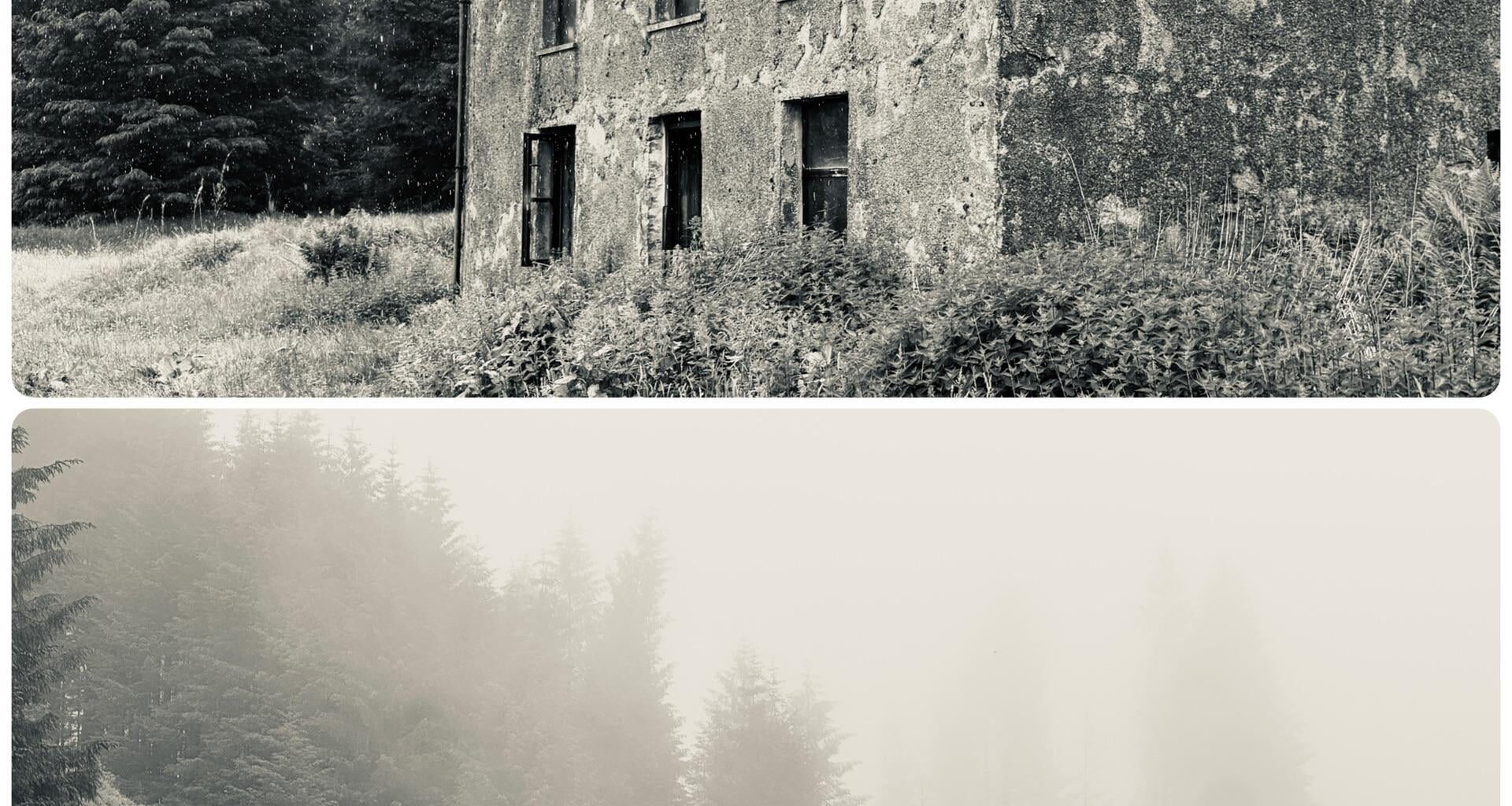Moel Prysgau Bothy