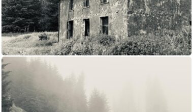 Moel Prysgau Bothy