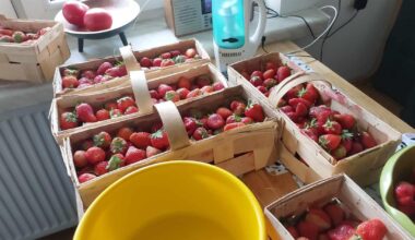 Why are the strawberries (and in general berries) so expensive!