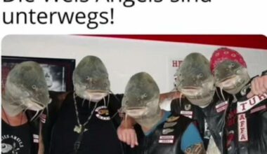 ich_iel