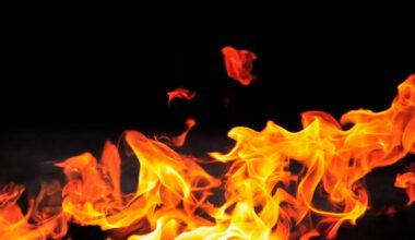 High-latitude wildfires are not just a symptom of climate change; they are an accelerating force that could shape the future of our climate in ways that we are currently incapable of predicting.