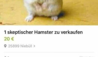Würde ich auch abgeben