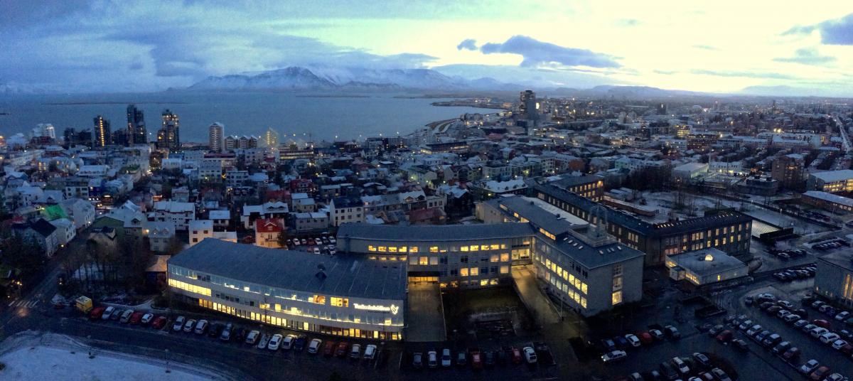 Getting drunk in Iceland: a formal guide