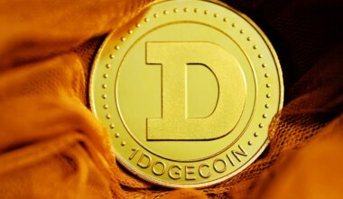 Top DOGE (Dogecoin) Contributor Drops Bombshell Warning About Crypto Lending