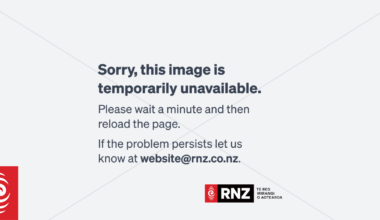Air NZ boss says sector feeling impact of Air India tragedy