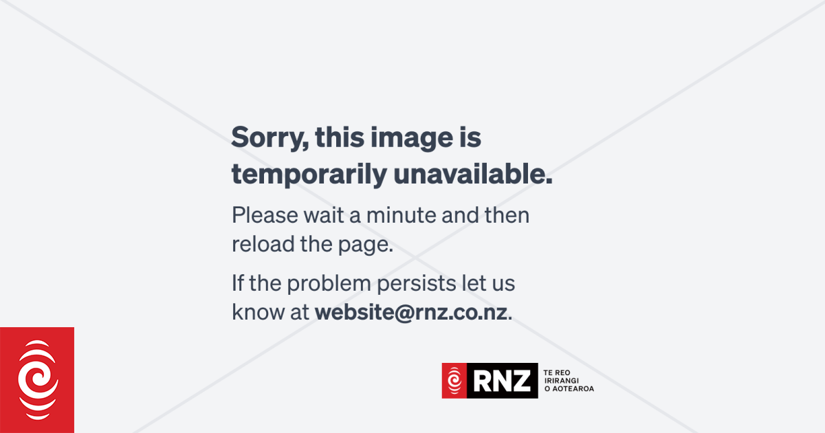 Air NZ boss says sector feeling impact of Air India tragedy