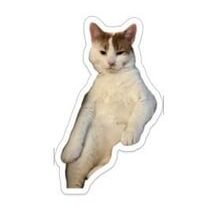 I accidentally learned how to make stickers on my phone (Twix is very emotive)