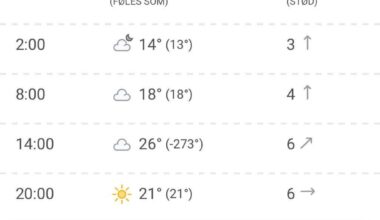 Jeg tror jeg bliver hjemme mandag