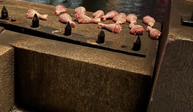 What is this raw chicken on Lambeth Bridge?