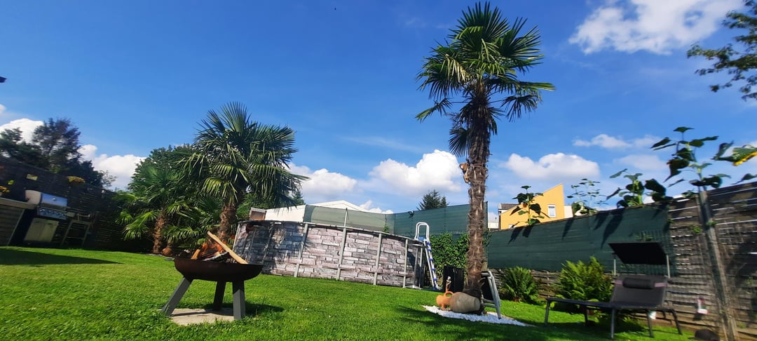 Endlich Sommer ☀️