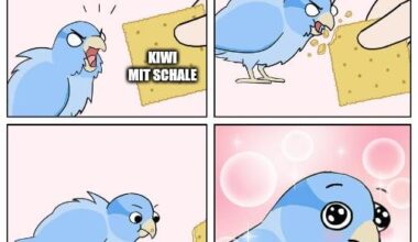 ich🥝iel