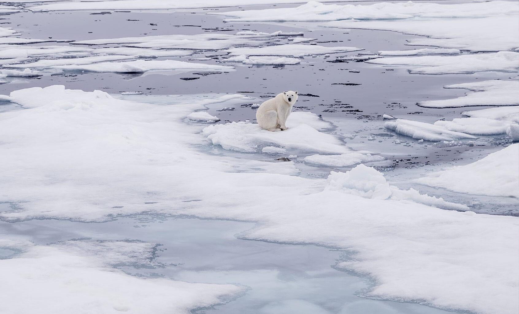 Republicans and climate change | They know better but they’d rather fight than switch