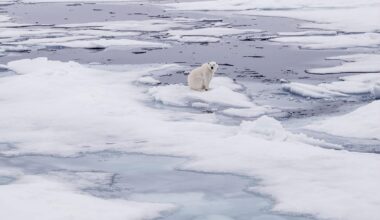 Republicans and climate change | They know better but they’d rather fight than switch