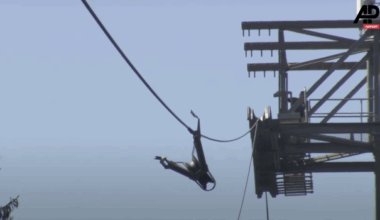 19 People and a Dog Rescued After Cable Car Incident in Austrian Alps