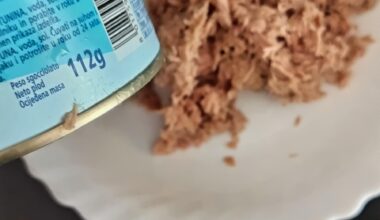 Tuna u konzervi; prevara.