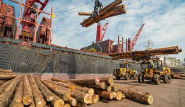 Why Forestry is the Big Winner in New Zealand’s Pivot Toward India