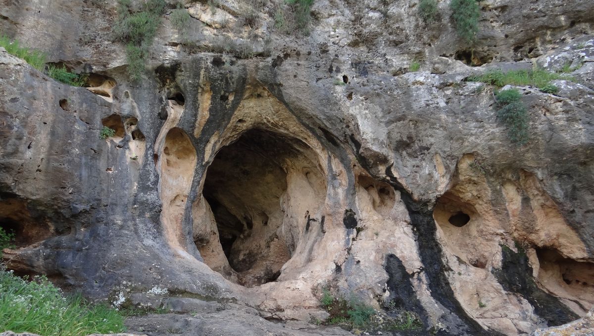 Child From World’s Oldest Burial 140,000 Years Ago Was Neanderthal-Homo Sapiens Hybrid
