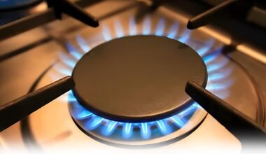 Petroleum division hands over gas price hike decision to audit firm KPMG