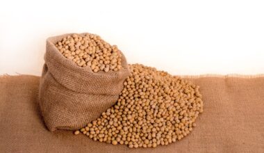 Artificial Intelligence Accelerates the Development of New Soybean Cultivars