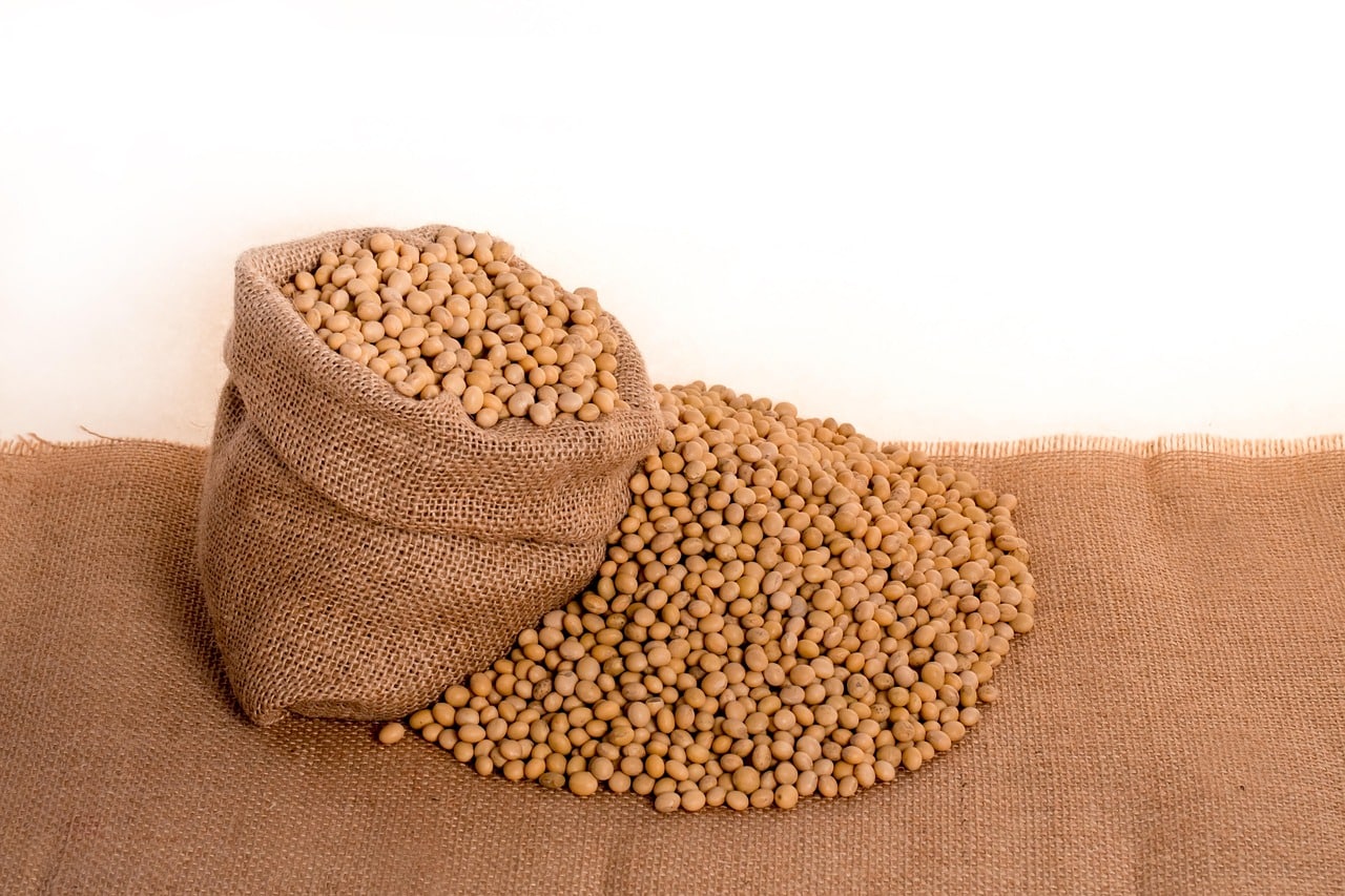 Artificial Intelligence Accelerates the Development of New Soybean Cultivars
