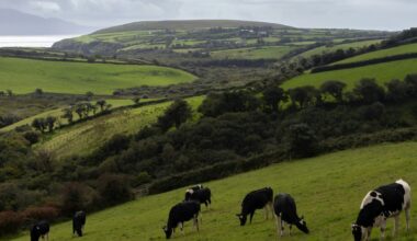 A new normal for Irish dairy: Pioneering sustainable change for Ireland’s climate future