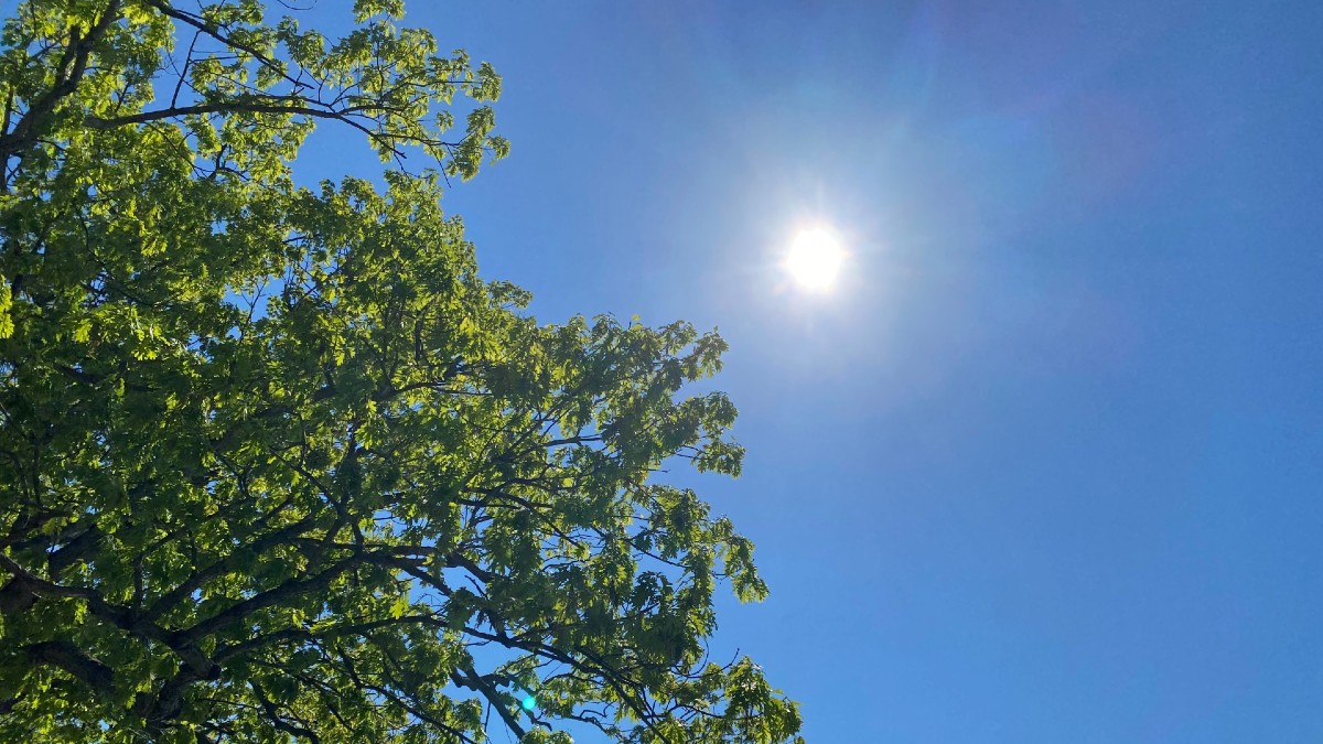 How climate change is lengthening the summer season – NBC Connecticut