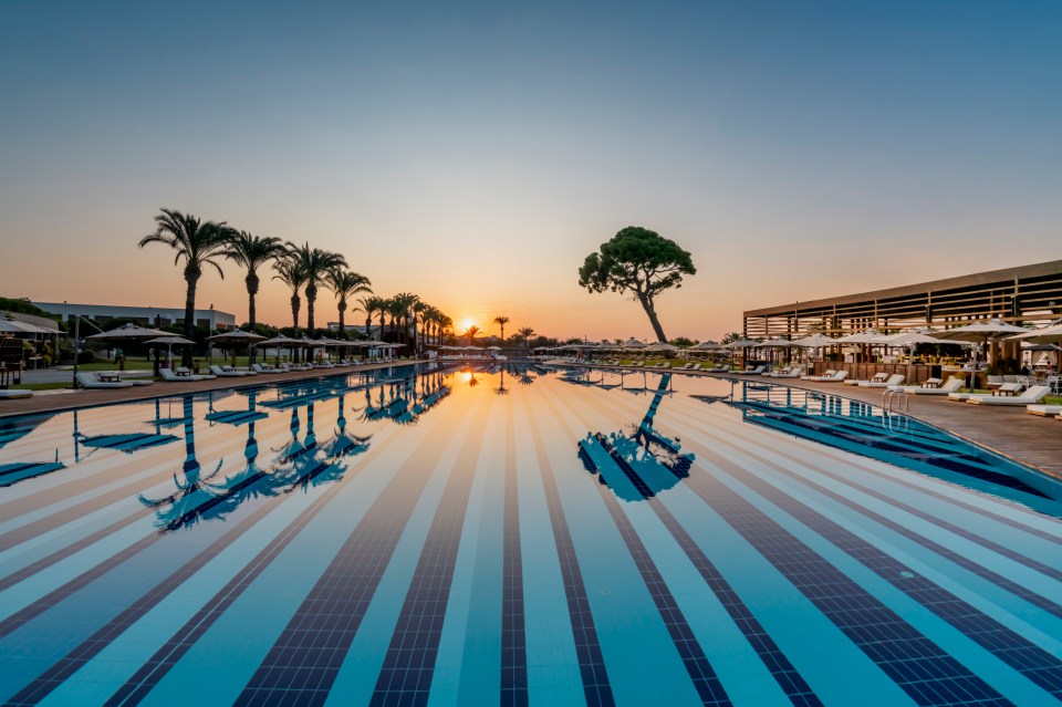 Sunset view of a long resort pool with palm trees and lounge chairs.