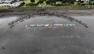 Waitangi Tribunal asked to halt Taranaki seabed mine fast-track