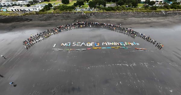 Waitangi Tribunal asked to halt Taranaki seabed mine fast-track