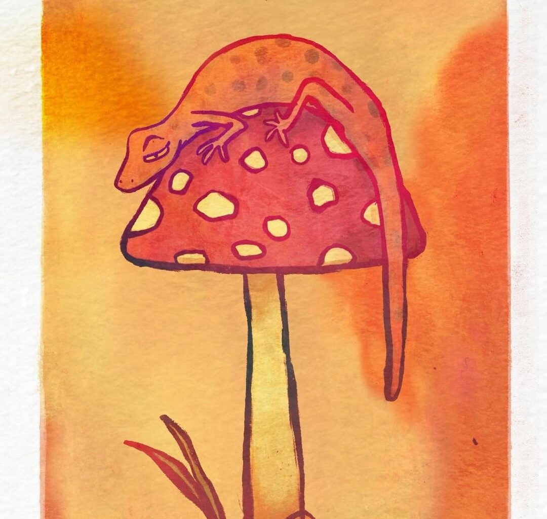 The first of the weekly illustrations and accompanying videos of a Cymraeg word this year!