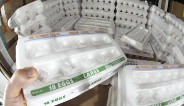 Americans sour on US economy and anxiety over tariffs remains the chief culprit: Americans' view of the U.S. economy worsened in June even before it's over