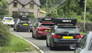Beautiful. Spotted this family of Tentboxes migrating back to the suburbs