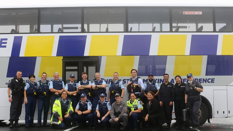 The buses will be around the city over the next 12 weeks.